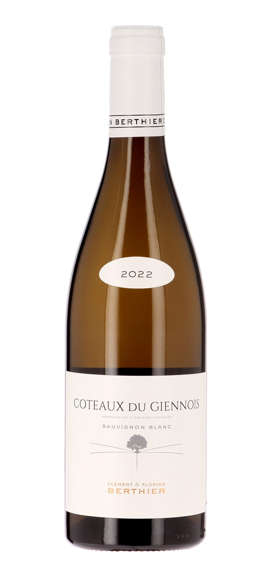 Clément et Florian Berthier - Coteaux du Giennois 2022