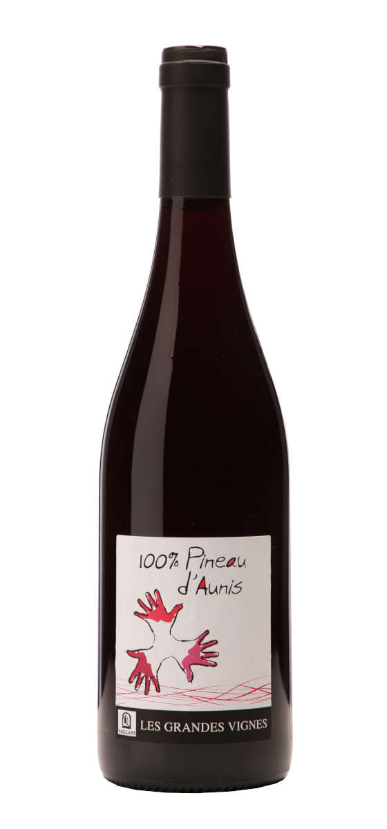 100% Pineau d'Aunis Nature