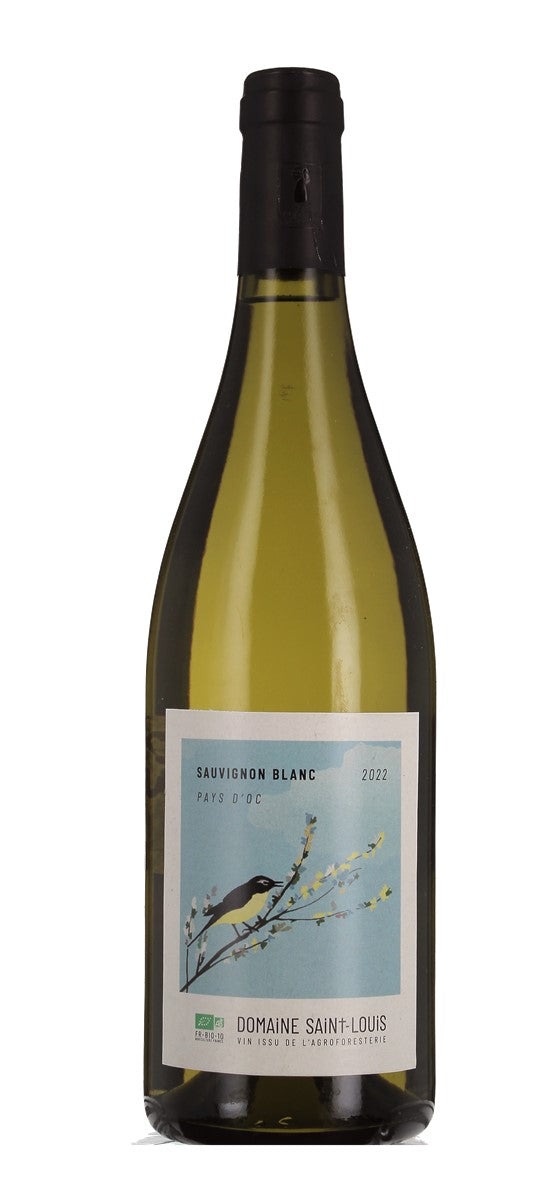 Domaine Saint Louis - Sauvignon blanc - IGP Pays d'Oc - Blanc - 2022