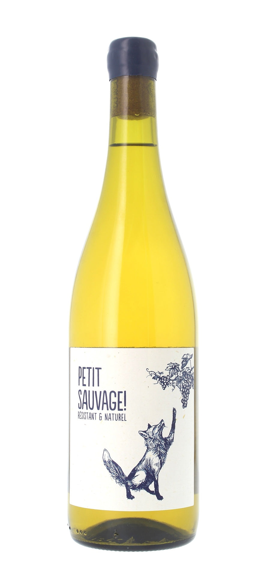 Pierre et Antonin - Petit Sauvage ! - Vin de France - Blanc - 2024