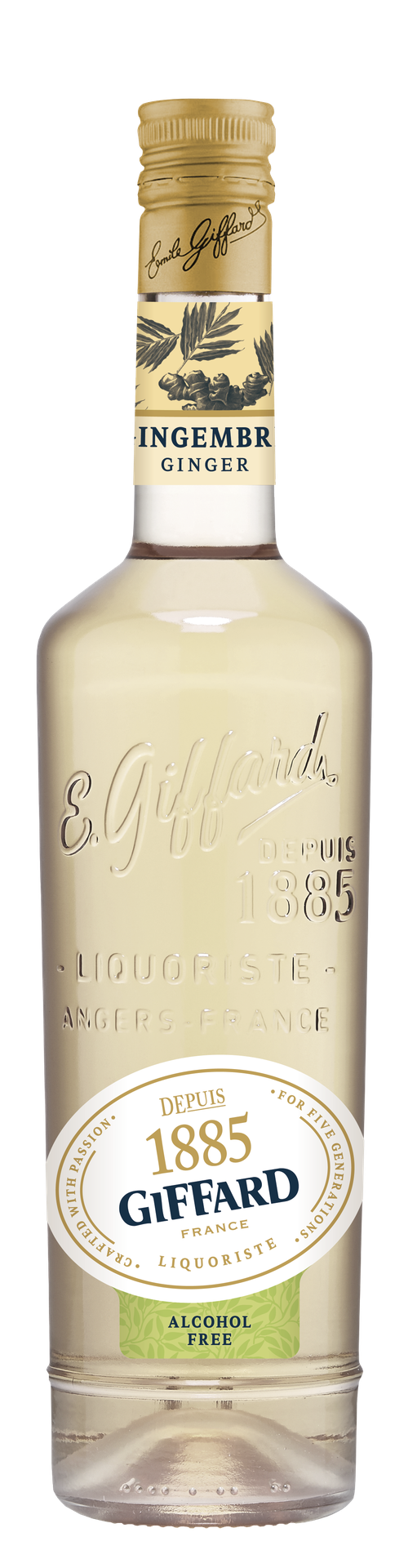 Giffard - Gingembre