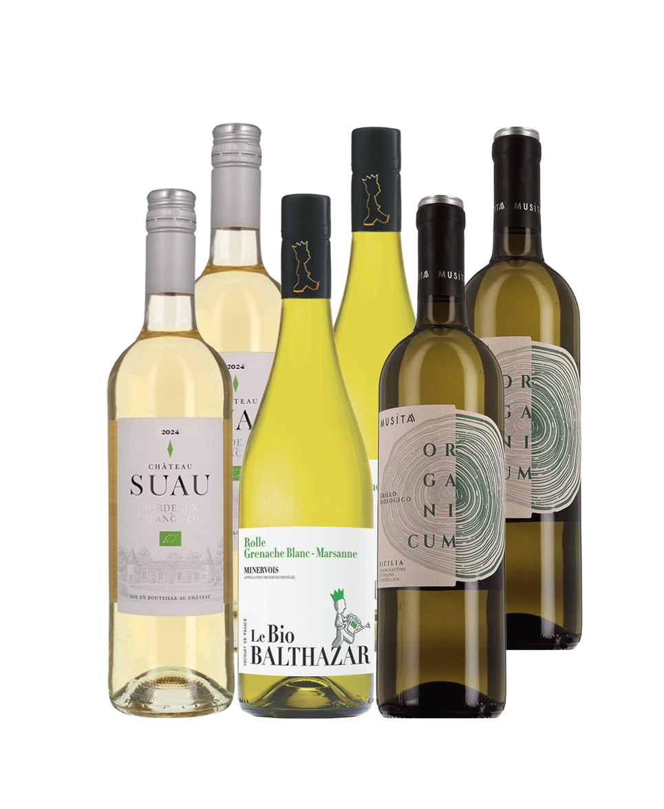 Best-sellers les blancs 100% bios - 6 bouteilles - Blanc
