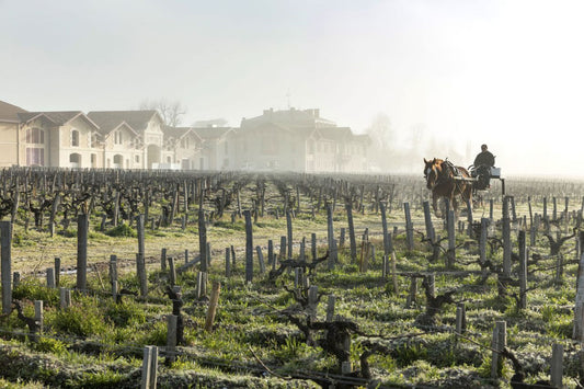 Le vrai ou faux du bio