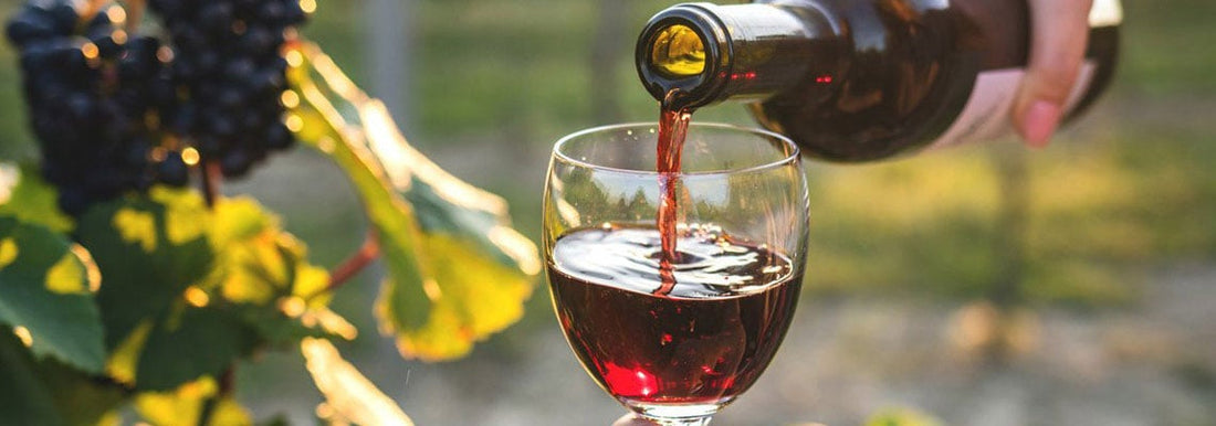 La véritable histoire du Beaujolais Nouveau !