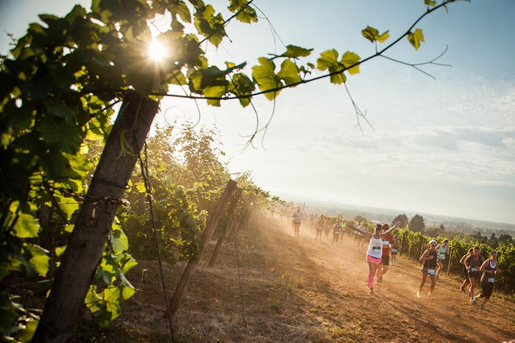 Top 7 des courses dans les vignes et marathons du vin