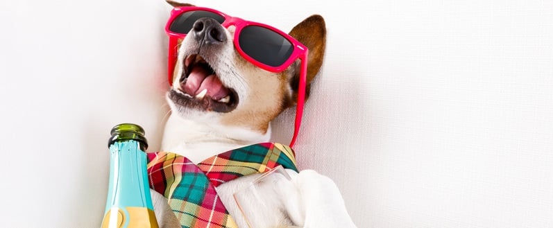 Top 10 des raisons de rester chez soi le vendredi soir