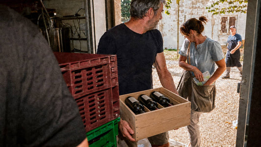 Œnotourisme : 5 routes des vins moins connues à explorer cet été