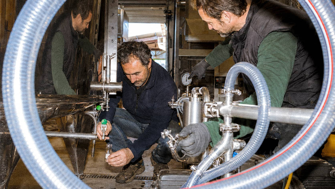 Vins sans alcool : fabrication, goût, vraie alternative au vin ?