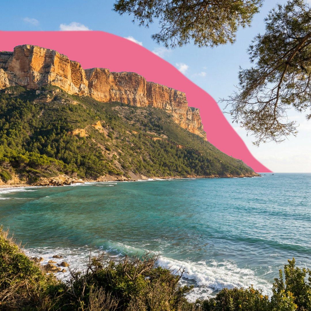 Nos rosés de Provence