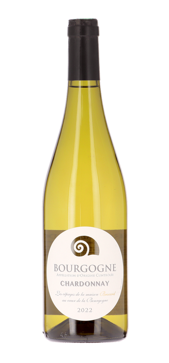 Bourgogne blanc 2022
