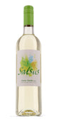 Salsus