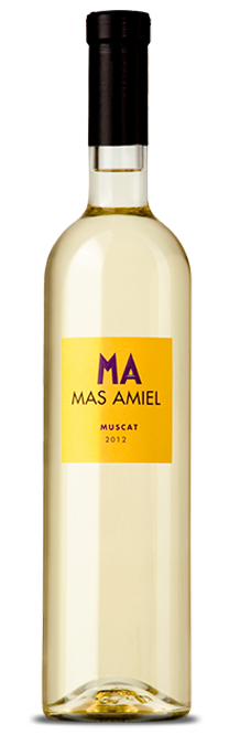 Muscat