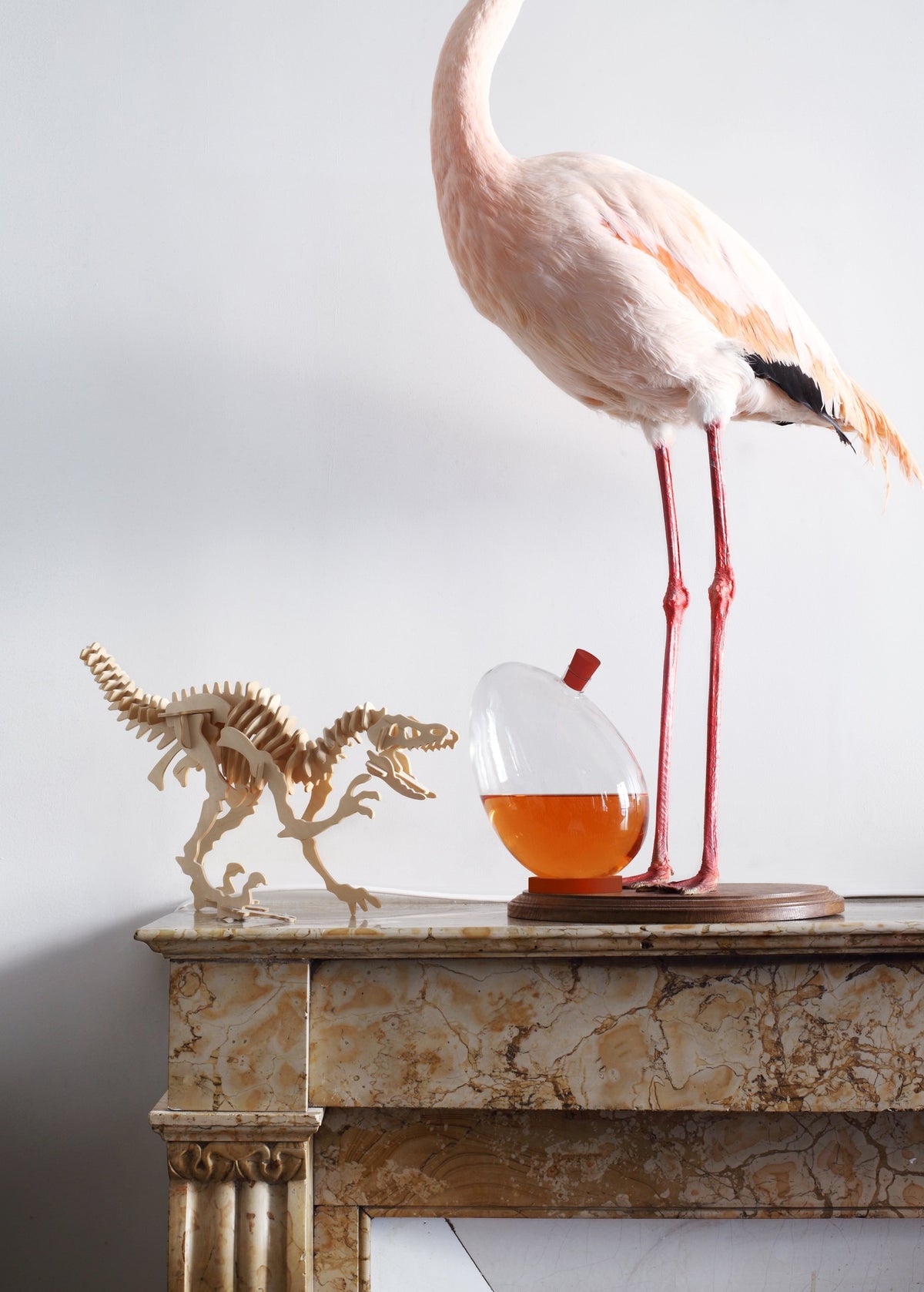 Carafe Egg-s by Sebastian Bergne