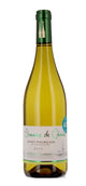  Saint-Pourçain Blanc 2022