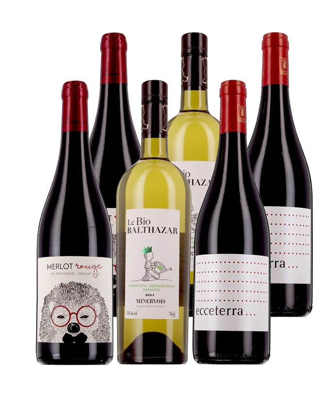 Languedoc-Roussillon - 100% best-sellers - 6 bouteilles