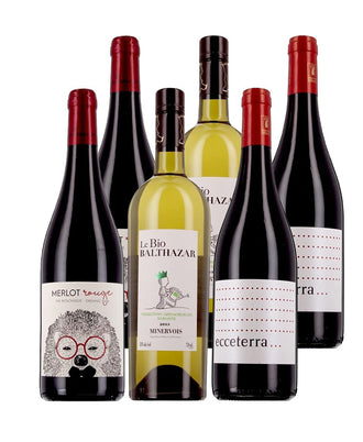 Languedoc-Roussillon - 100% best-sellers - 6 bouteilles