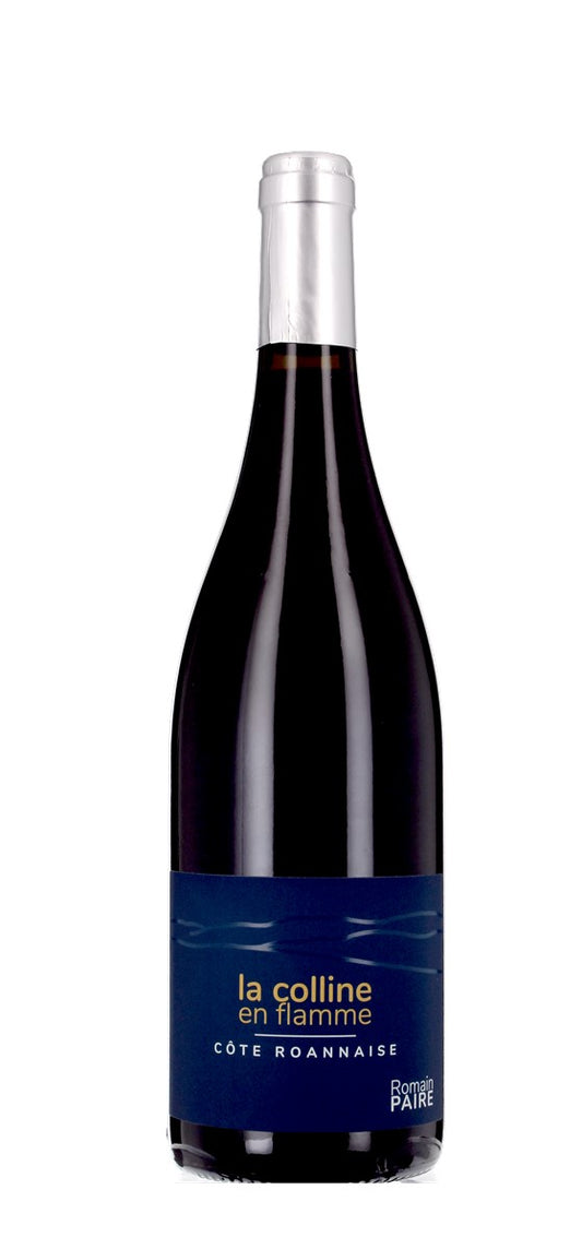 Domaine des Pothiers - Colline en Flamme - AOP Côte-Roannaise - Rouge - 2024
