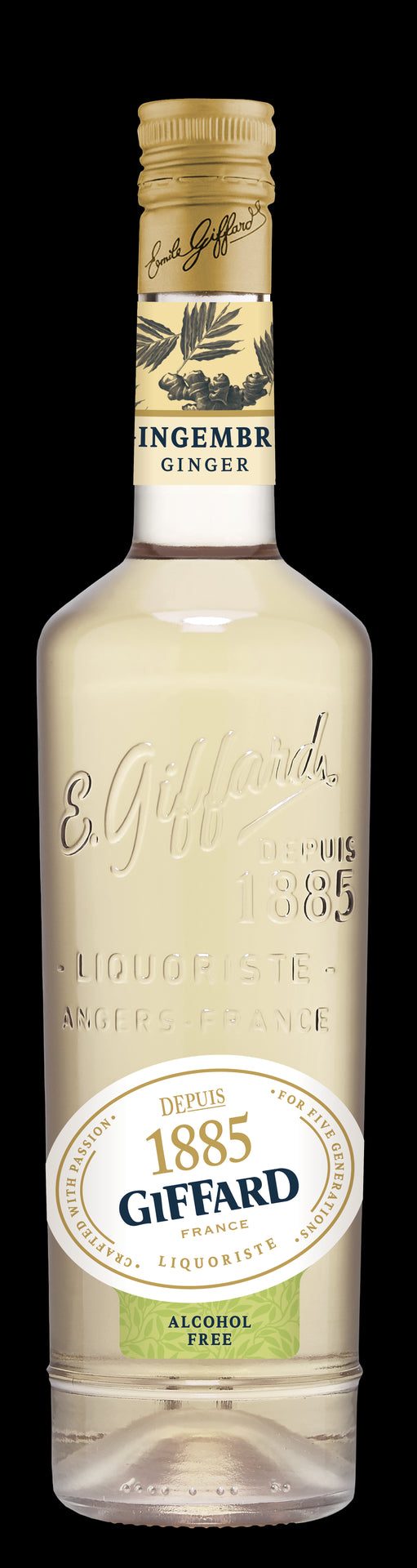 Giffard - Gingembre