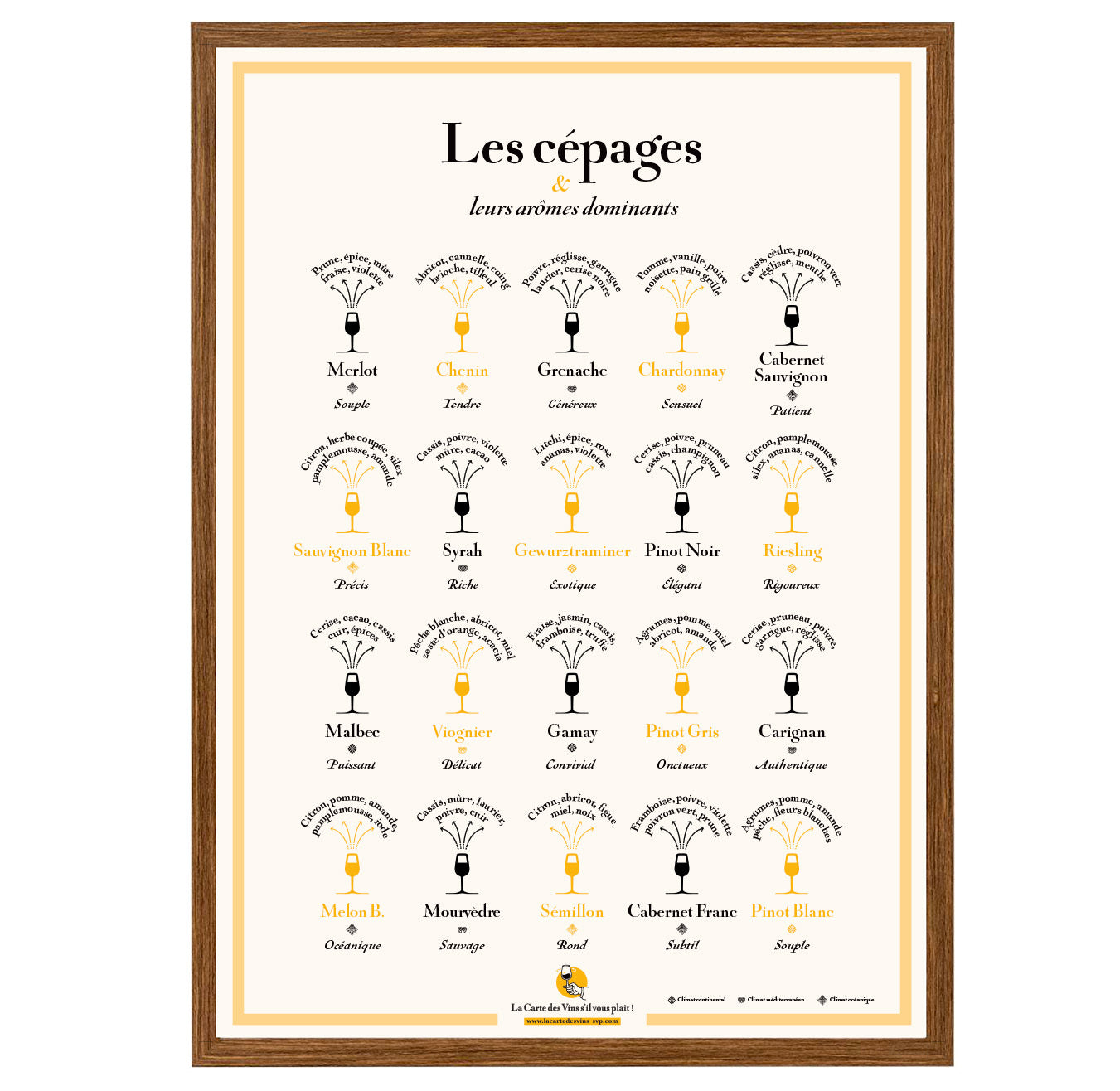 Affiche Les Cépages et leurs arômes dominants 50 x 70cm