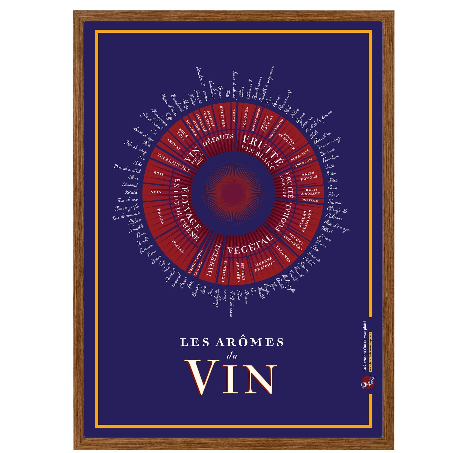 Affiche Les Arômes du vin 50 x 70cm