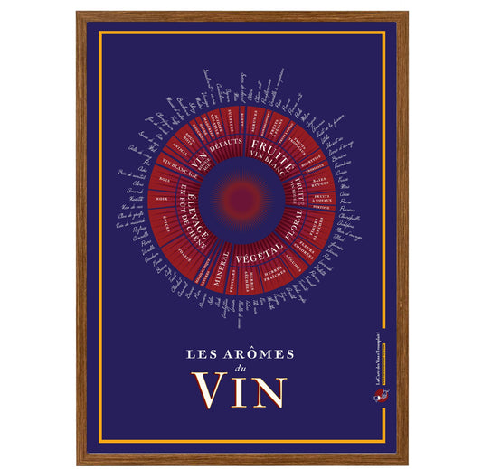 Affiche Les Arômes du vin 50 x 70cm