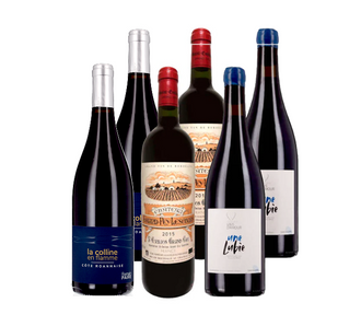 Pépites bio au cœur de la vigne