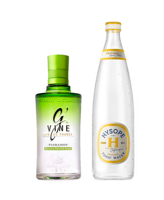 Kit Gin & Tonic - 2 bouteilles