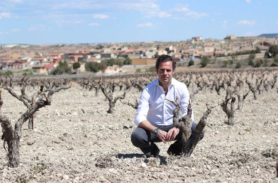 Bodegas Valdrinal