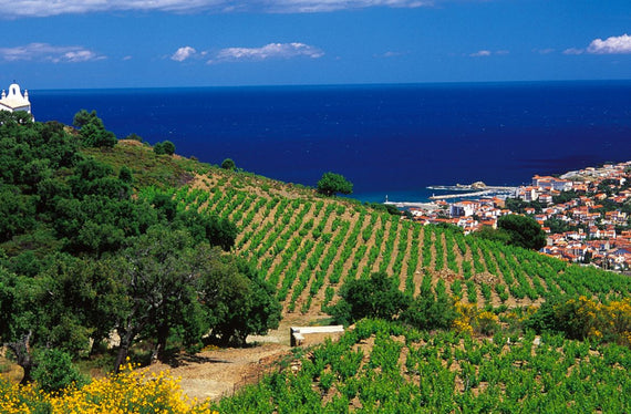 Cave de l'Abbé Rous