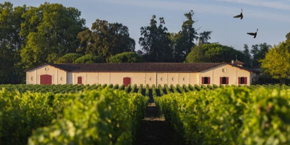 Château Brown
