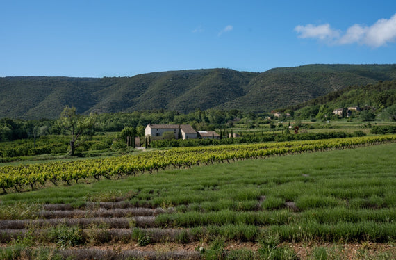 Château Pudris