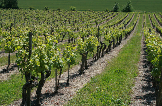 Château Tournelles