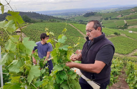 Domaine Bourdon