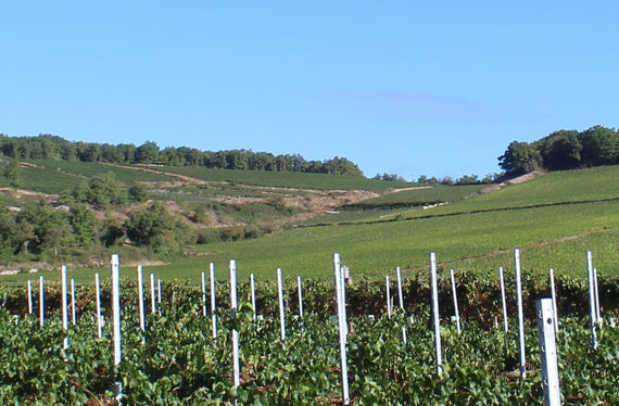Domaine Chofflet