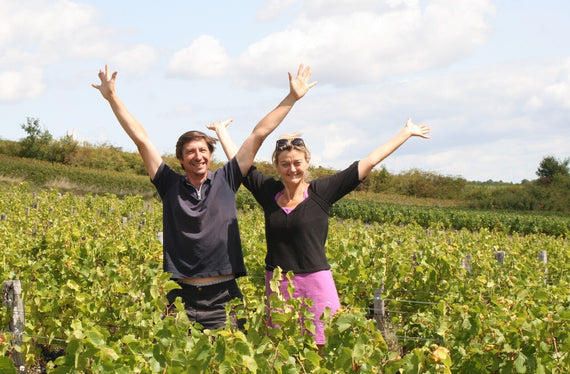 Domaine de la Luolle