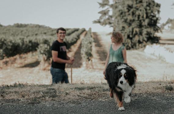 Domaine Gayrard