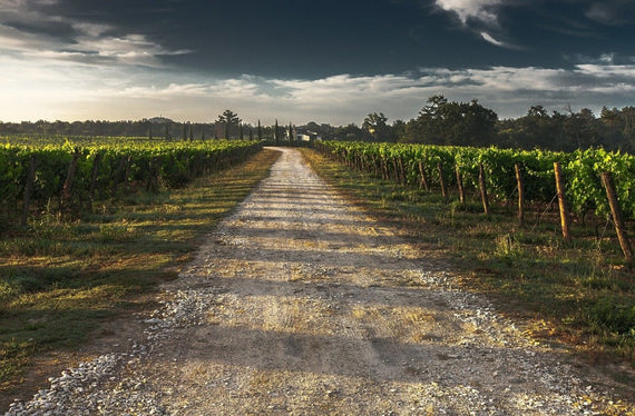 Domaine Les Pierres Ecrites