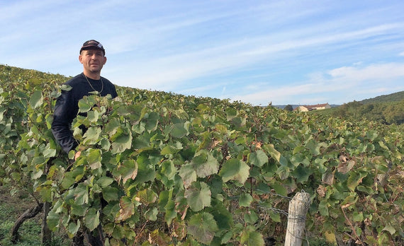 Domaine Papillon