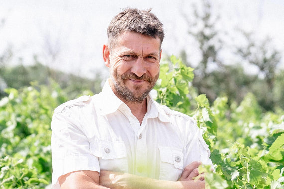 Domaine Ricardelle de Lautrec