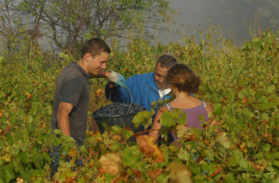 Domaine Richeaume