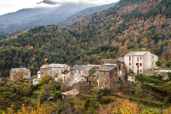 Domaine San Pedrone