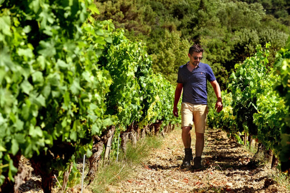 Maison François-Xavier Nicolas