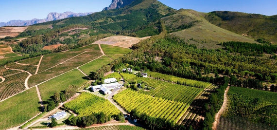 Marianne Wine Estate