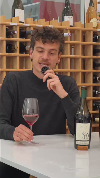 Château de Verreux - Trousseau - Rouge