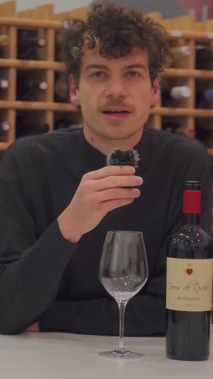 Château Moulin Caresse - Coeur de roche - AOP Montravel - Rouge - 2019