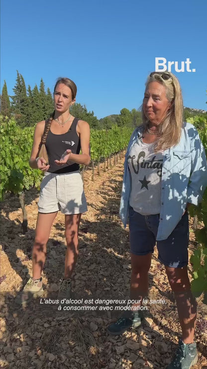 Domaine de la Mordorée - La Reine des Bois  - AOP Tavel - Rosé - 2022