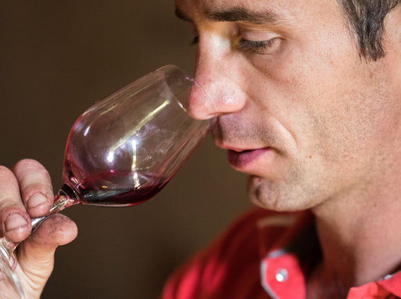 Vignobles Guillaume Guérin